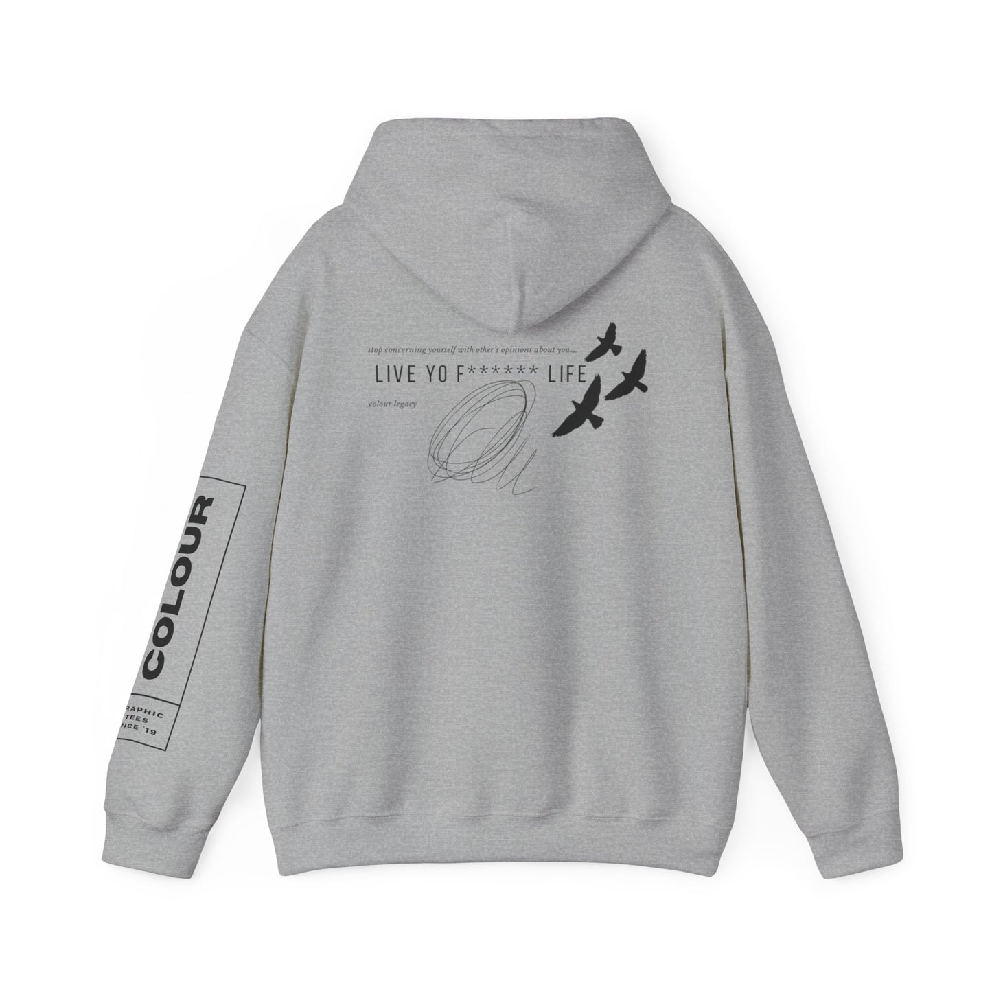 Colour Legacy -“sweat Fitz” Hoodie